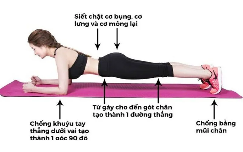tap plank co tac dung gi huong dan cho nguoi moi bat dau