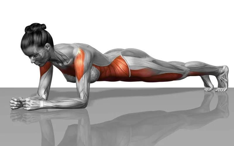 tap plank co tac dung gi huong dan cho nguoi moi bat dau