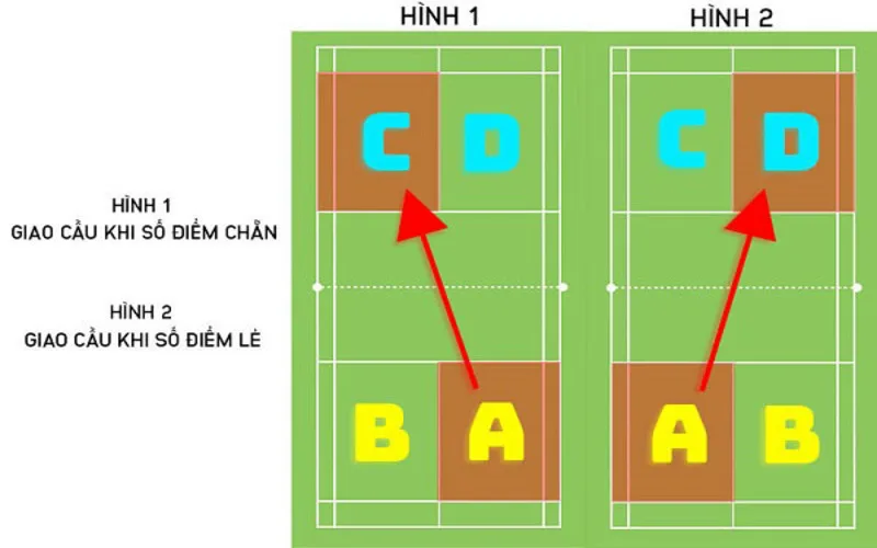 luat cau long doi cach tinh diem giao cau va nhung quy dinh can biet